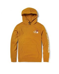 THE NORTH FACE HIMALAYAN BOTTLE SOURCE P/O HOODIE - AP