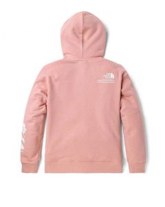 THE NORTH FACE W HIM BOTTLE SOURCE HOODIE - AP - ROSE TAN