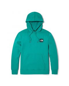 THE NORTH FACE LOGO PLAY PULLOVER HOODIE -AP -PORCELAIN GREE