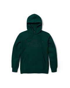 THE NORTH FACE UNISEX EBD 3D LOGO HOODIE  (ASIA SIZE) - PONDEROSA GREEN