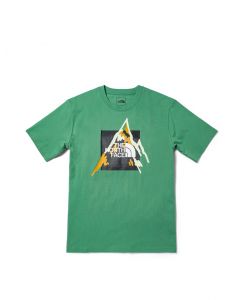 THE NORTH FACE M S/S BOX MTN GRAPHIC TEE - AP - DEEP GRASS GREE